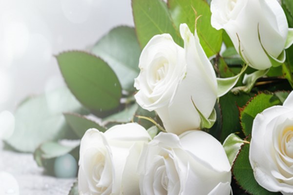 Funeral Reception